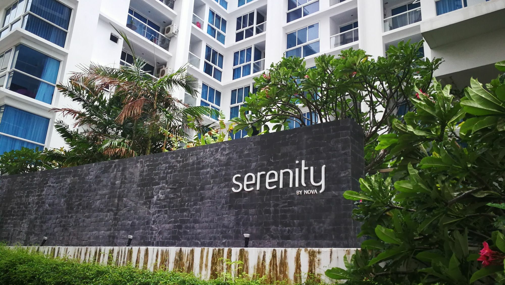 Serenity Condo Wongamat By Patsamon Pattaja Kültér fotó
